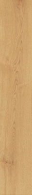 Керамогранит Exence Almond (AO48) 20x120 от Atlas Concorde (Италия) в Москве