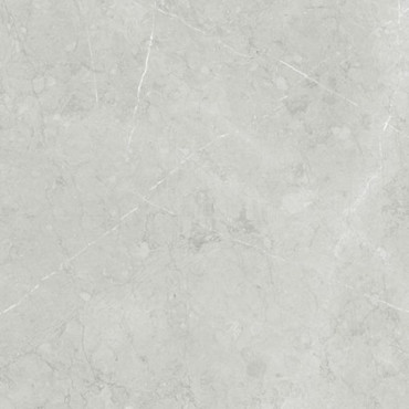 Керамогранит ALTAMURA SILVER PUL 60 60x60 от TAU Ceramica (Испания) в Москве