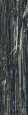 Керамогранит I CLASSICI BRAZILIAN GLOSSY RET (750899) 30x120 от REX Ceramiche (Италия) в Москве