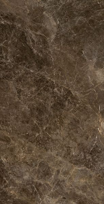 Керамогранит FRAPUCCI.POLLOCK LUC C46M6Y 120x240 от Emil Ceramica (Италия) в Москве