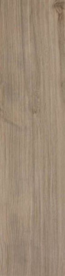 Керамогранит Etic Rovere Grigio (AJ8H) 22.5x90 от Atlas Concorde (Италия) в Москве