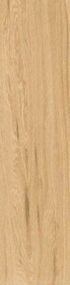 Керамогранит Escape Miele 12.5x50 от Ragno (Италия) в Москве