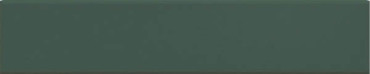 Настенная плитка PLINTO GREEN MATT 10.7x54.2 от DNA Tiles (Испания) в Москве