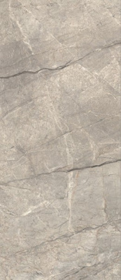 Керамогранит ANIMA FUTURA AMAZING SILVER MATT (AGB2) 60x120 от Caesar Ceramiche (Италия) в Москве