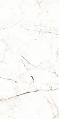 Керамогранит 12055 Carving 60x120 от Maimoon Ceramica (Индия) в Москве
