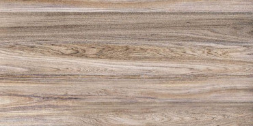 Настенная плитка Wood (TWU09WOD404) 24.9x50x7.5 от Alma Ceramica (Россия) в Москве