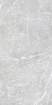 Керамогранит Coco Light Grey 60x120 от Ocean Ceramic (Иран) в Москве