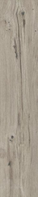 Керамогранит WOODEN TORTORA (609.0004.0371) 20x100 от Love Tiles (Португалия) в Москве