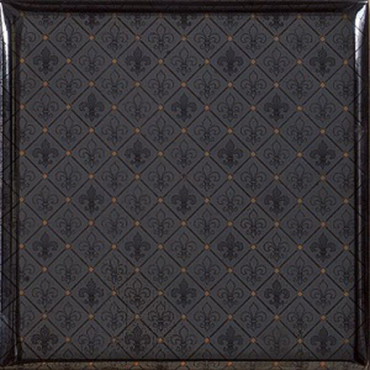 Настенная плитка Caprichosa Zhana Negro 15x15 от APE Ceramica (Испания) в Москве