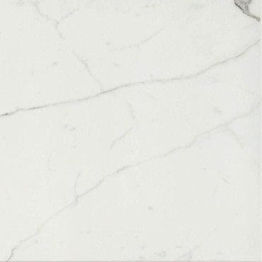 Керамогранит TIMELESS CALACATTA LUC RET (746855) 60x60 от Cerim (Италия) в Москве