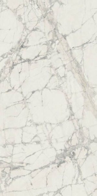 Керамогранит PREXIOUS REX MOUNTAIN TREASURE MAT R (755834) 60x120 от REX Ceramiche (Италия) в Москве