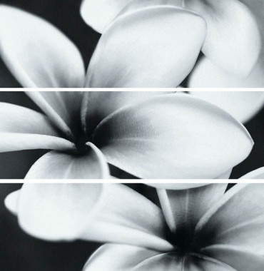 Спецэлемент стеклянный Universal Glass Flowers (UG2U093D) 75x75 от Mei (Германия) в Москве