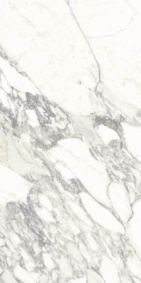 Керамогранит Marmi Classici ARABESCATO CLASSICO Soft Ret 60x120 от Ariostea (Италия) в Москве