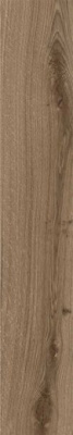 Керамогранит DILUCA UMBER 120 20x120 от TAU Ceramica (Испания) в Москве