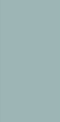 Керамогранит MONOCOLORS Silver Spring Matt Fullbody 60x120 от Staro (Индия) в Москве