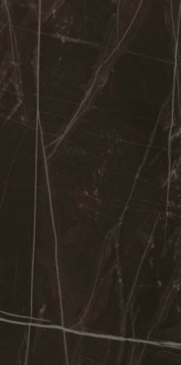 Напольная плитка TREX 12N LP 60x120 от La Faenza (Италия) в Москве