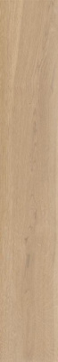 Керамогранит POETRY WOOD GOLD NAT RETT180 26.5x180 от ABK Ceramiche (Италия) в Москве