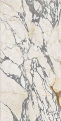 Керамогранит EPOQUE 21 ARABESCATO ANT R (PF60009341) 60x120 от Ariana (Италия) в Москве