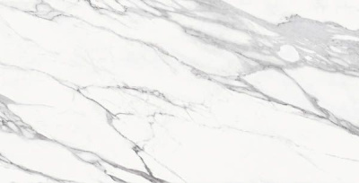 Керамогранит STATUARIO MICHELANG.RET LAP 10 мм 635M0R 30x60 от Emil Ceramica (Италия) в Москве