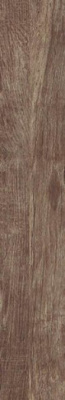 Керамогранит Monte Verde MN 9 Noce 16.5x100 от Del Conca (Италия) в Москве