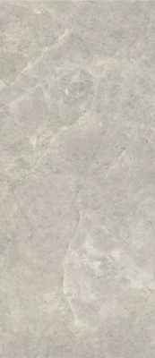 Керамогранит Platinum Leica Polished (6 мм) (MN226AP261206) 120x260 от Moreroom (Китай) в Москве