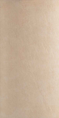 Керамогранит HAGEN BEIGE (8024) 60x120 от Fakhar (Иран) в Москве
