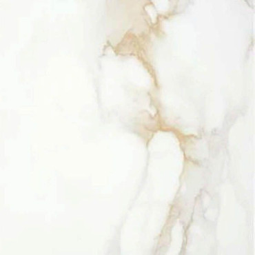 Керамогранит P.E. Pul. Camile gold rect. 120x120 от STN Ceramica (Stylnul) (Испания) в Москве