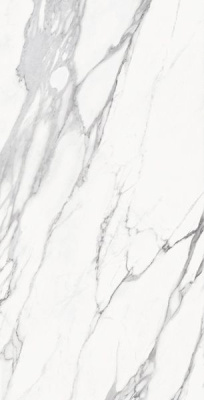 Керамогранит STATUARIO MICHEL LUC C46M0Y 120x240 от Emil Ceramica (Италия) в Москве