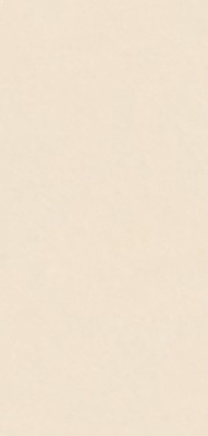 Керамогранит Mirage Beige Polished (6 мм) (MN144AP321606) 160x320 от Moreroom (Китай) в Москве