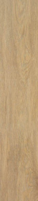 Керамогранит Tacora Camel Matt Rect 22.7x119.5 от STN Ceramica (Stylnul) (Испания) в Москве