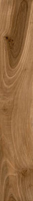 Керамогранит TASMANIA TEAK 20x120 от Ecoceramic (Испания) в Москве