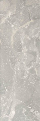 Настенная плитка NEBULA R90 SILVER 30x90 от Azteca (Испания) в Москве