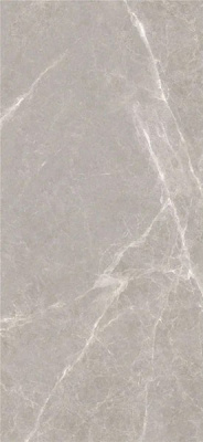 Керамогранит Pietra Grey Polished (6мм) (MN277AP261206) 120x260 от Moreroom (Китай) в Москве