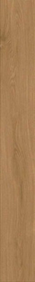Керамогранит Entice Copper Oak Elegant (A8YC) 18.5x150 от Atlas Concorde (Италия) в Москве