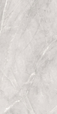 Керамогранит SILK Armani Silver Matt 60x120 от Staro (Индия) в Москве