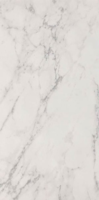 Керамогранит ROMA STONE CARRARA DELICATO MATT R9 (fQW8) 60x120 от FAP Ceramiche (Италия) в Москве