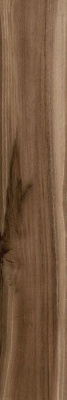 Керамогранит TASMANIA TEAK MATE 20x120 от Ecoceramic (Испания) в Москве
