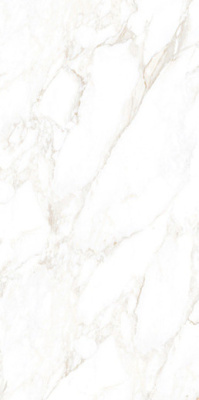 Керамогранит MARMO Marble Extra Endless mat 60x120 от NT Ceramic (Китай) в Москве