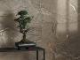 Плитка AMARANTO (Cercom Ceramiche) в Москве