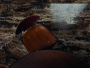 Плитка GRANDE MARBLE LOOK (Marazzi Italy) в Москве