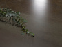Плитка MOMA (Ascale) в Москве